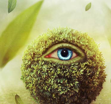 超级智能且功能丰富多样的手机版ddos攻击器