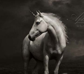 安卓ddos攻击工具