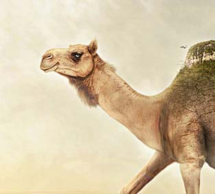 在线DDOS压力测试网页端