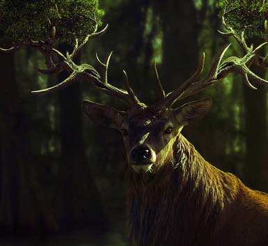 平台在线ddos压力测试