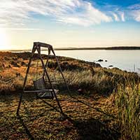 在线充值门户的Web漏洞扫描工具